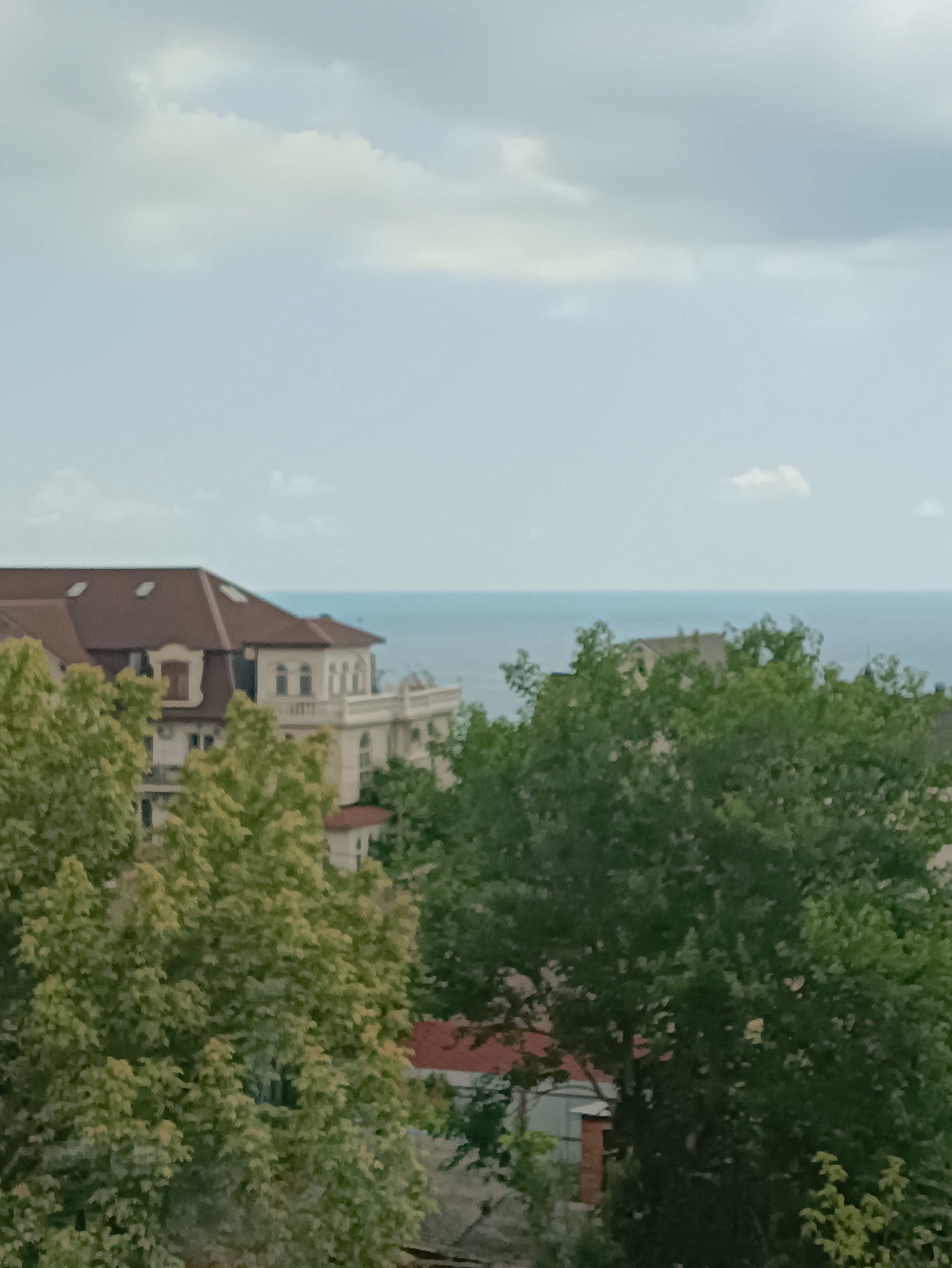 Фото Альбатрос