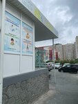 Razumeiki (ulitsa Nikolaya Semyonova, 21), speech therapists