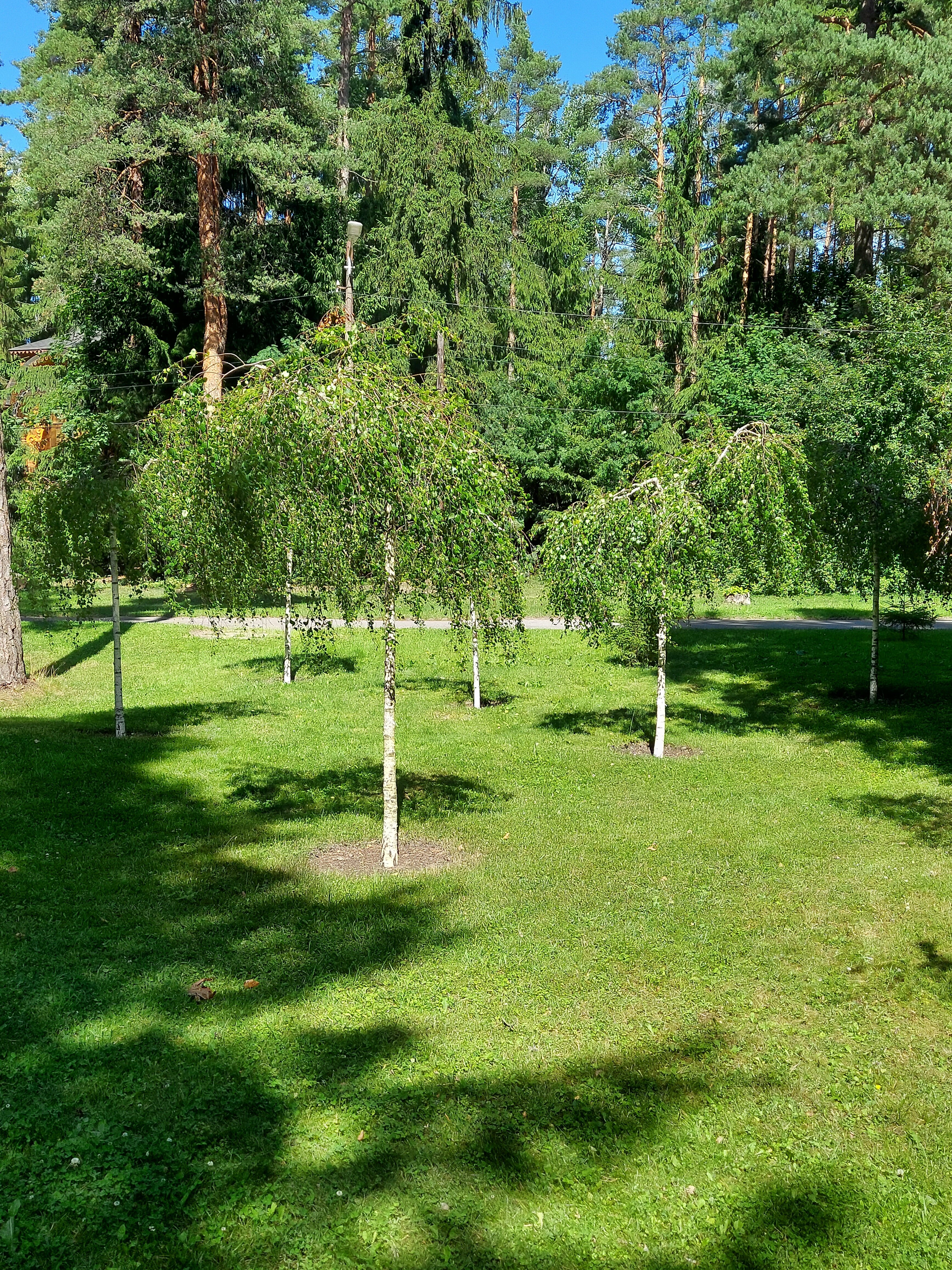 Фото Репино Парк Отель