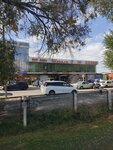 Shagala (Báıterek aýyly, Talǵar tuıyq kóshesі, 5А), auto parts and auto goods store