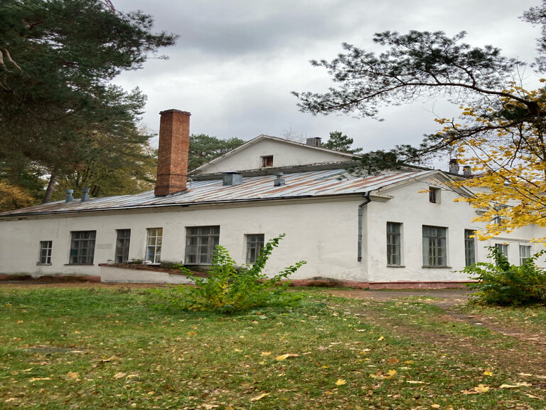 Фото Красный бор