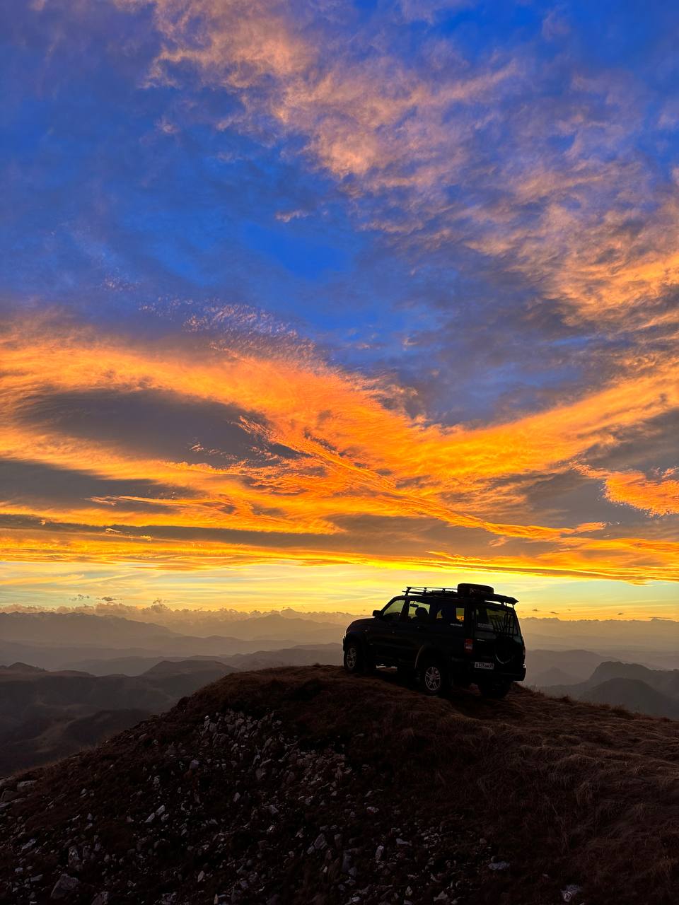 Фото Шафран