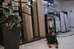 Дом Пола (Lienina Street, 27), baldosas de cerámica