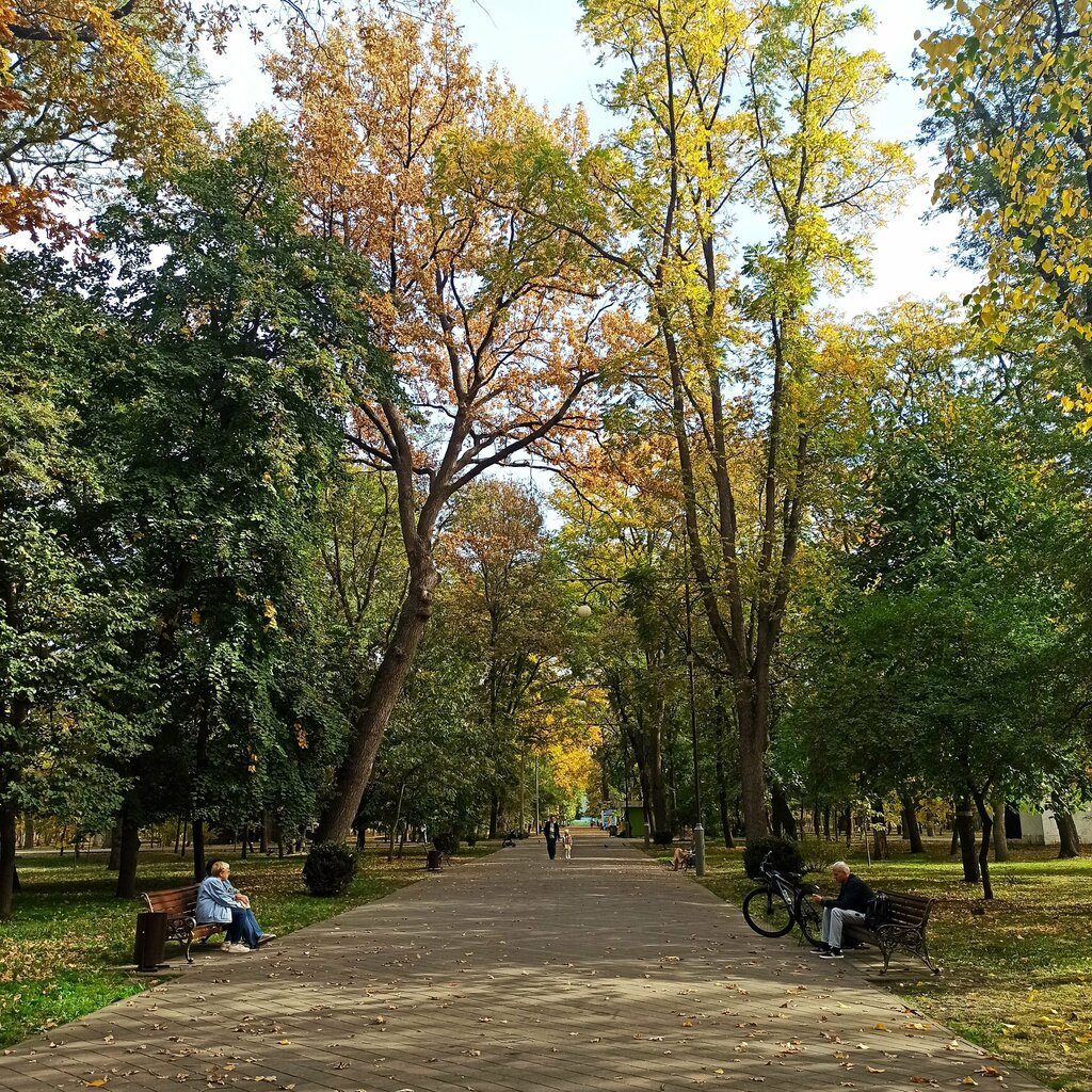 Park Chistyakovskaya roshcha, Krasnodar, photo