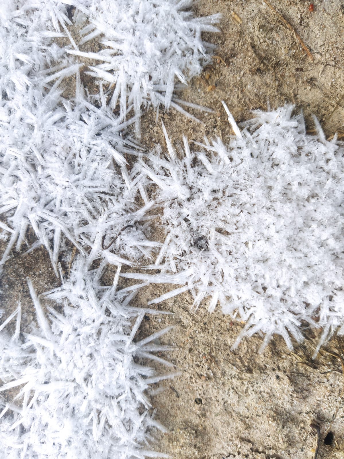 Фото Вьюлка