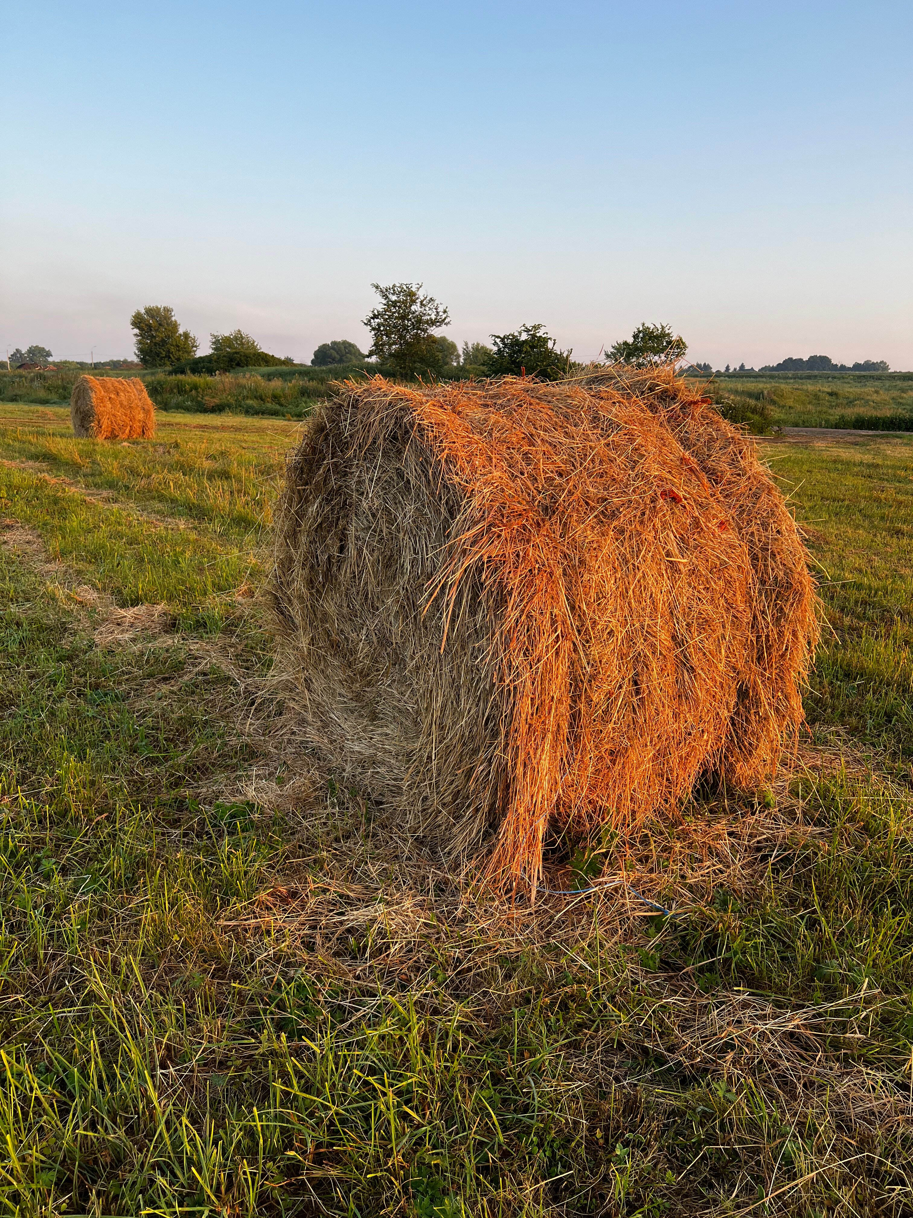 Фото Соты & Варенье