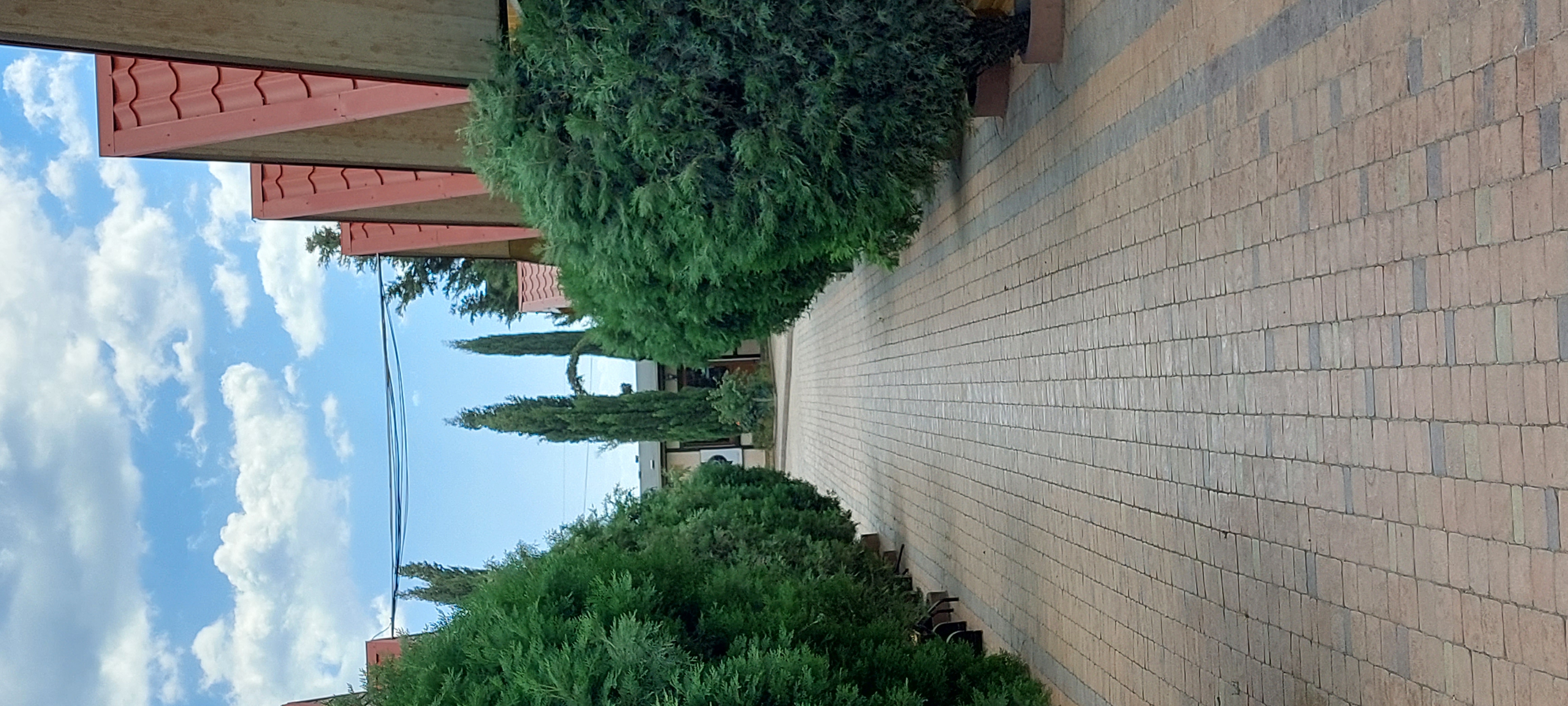 Фото Калипсо