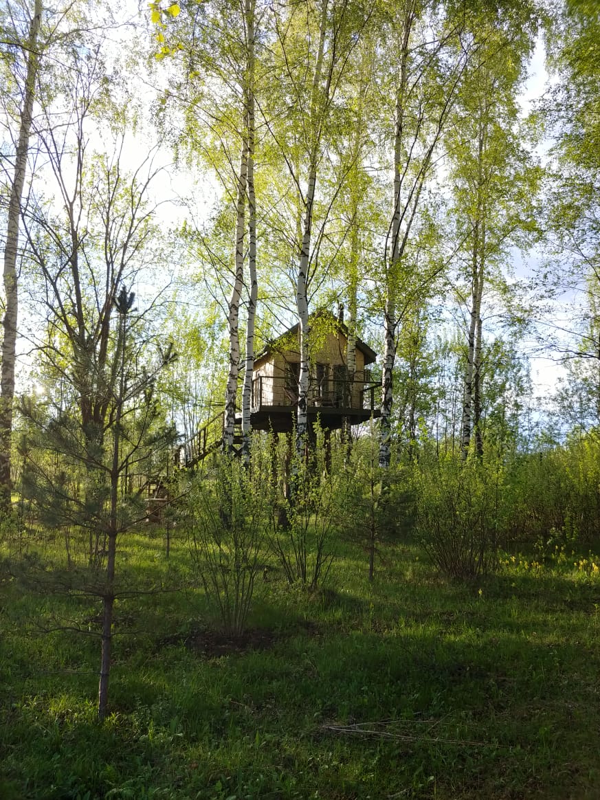 Фото Лапочкино гнездо Дома на деревьях