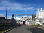Санкт-Петербургское государственное унитарное дорожное предприятие Центр (Reshetnikova Street, 20), construction and repair of roads