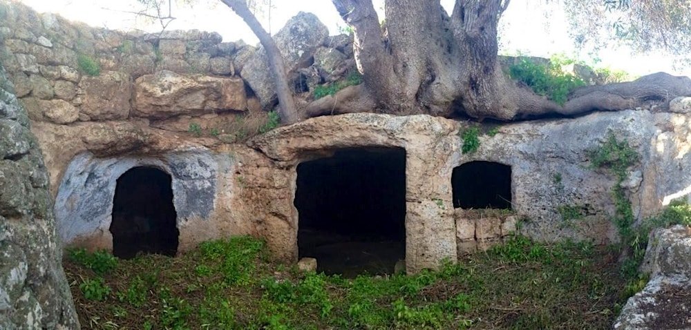 Фото Masseria Spina Resort