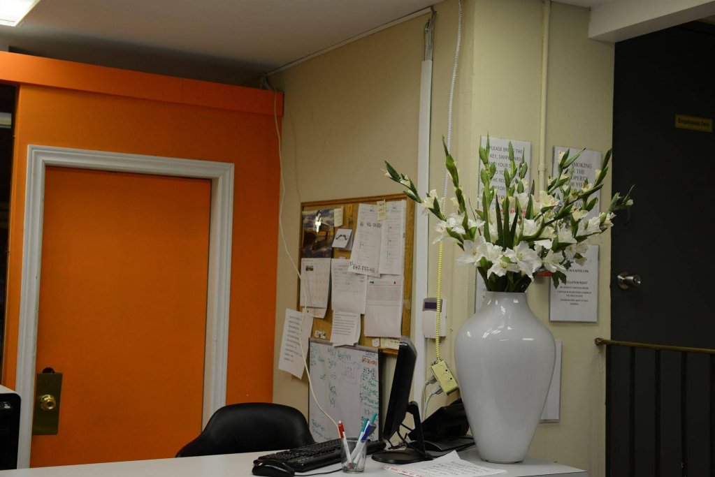 Фото Kensington College Backpackers