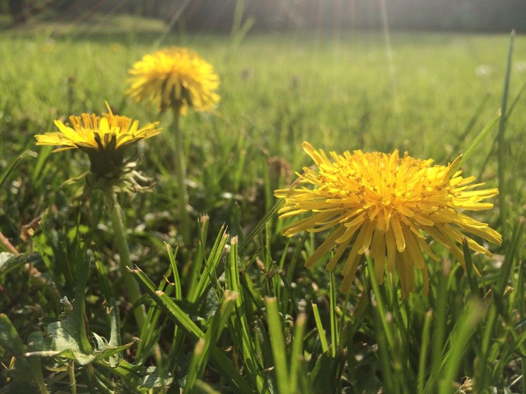 Фото Il Cantelino Relais