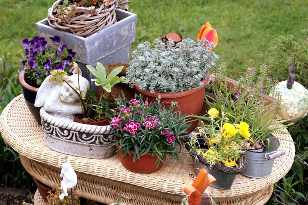 Фото Pension Leuchtfeuer