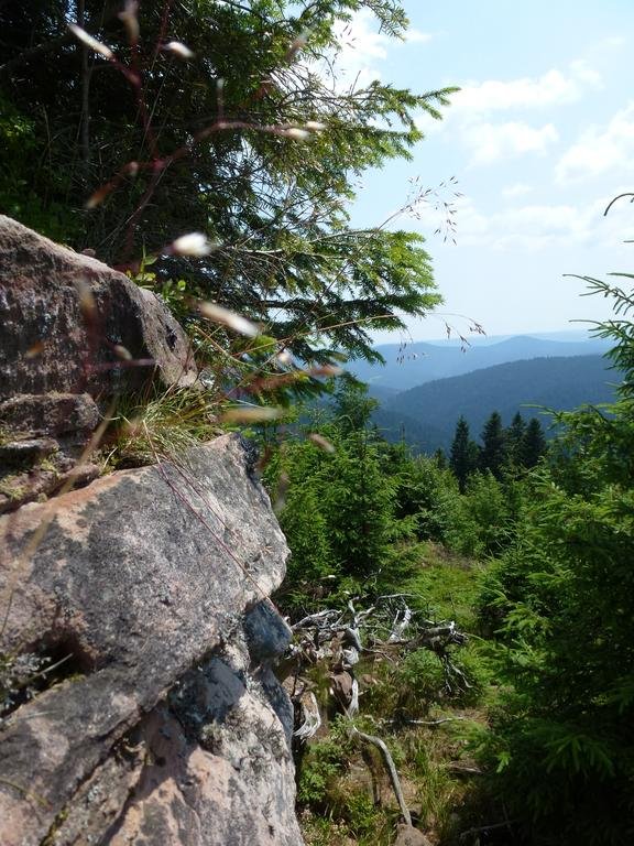 Фото Ferienwohnung Schwarzwaldsteig
