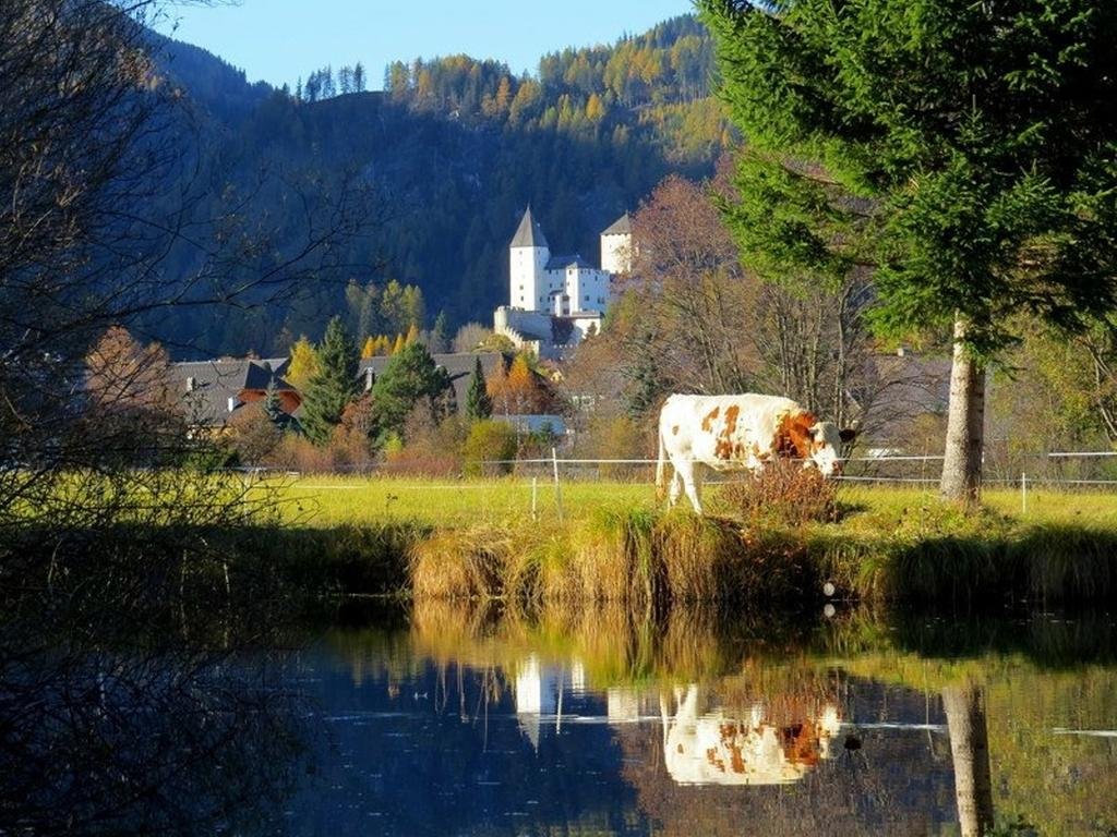 Фото Ferienwohnungen Kassar