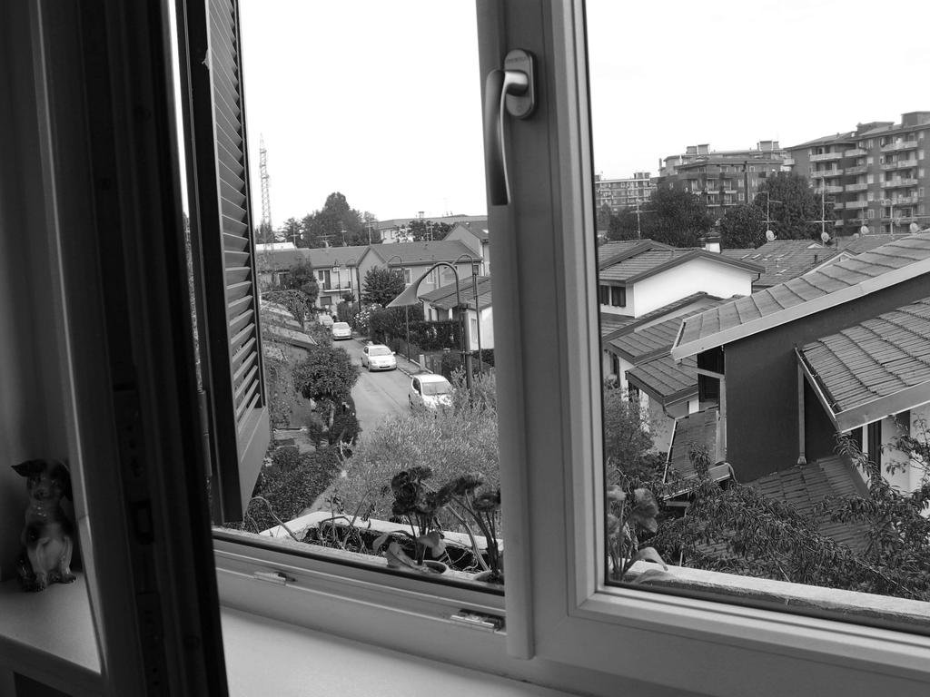 Фото Fiore di Zucca