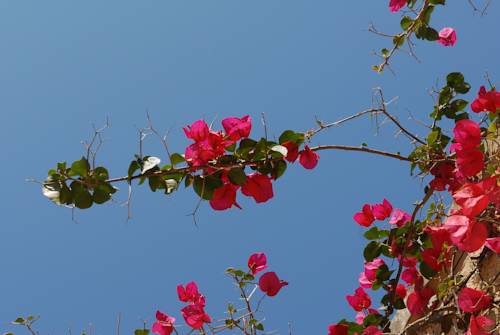 Фото Tenuta Specolizzi