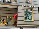 In Bloom (Moscow, Novomoskovskiy Administrative Okrug, Vnukovo District, Andreya Tarkovskogo Boulevard, 7), beauty salon