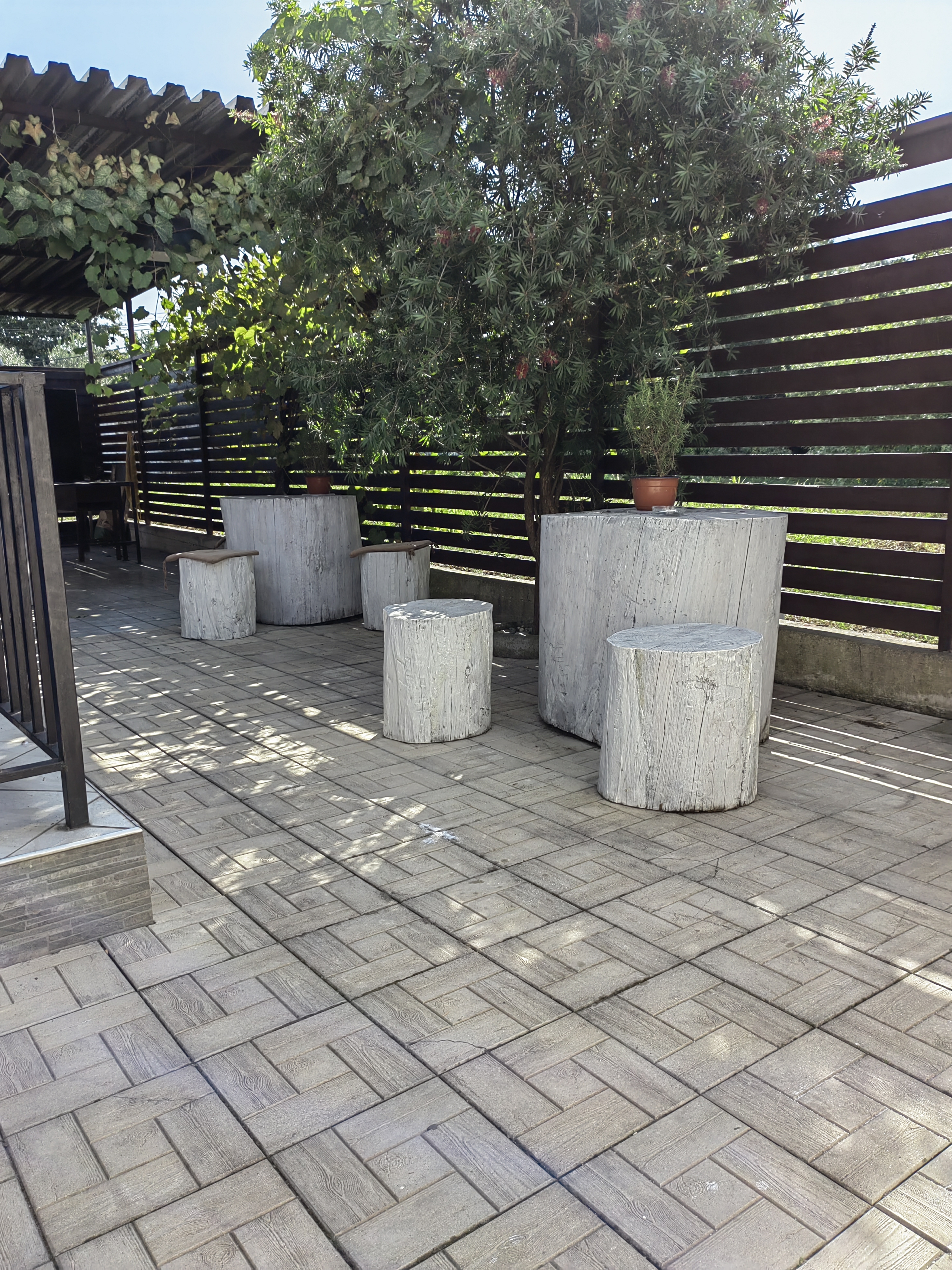 Фото Mandarin Hotel