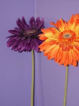 Фото Hotel du Theatre