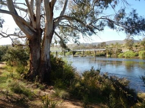 Гостиница Hobart Airport Tourist Park в Тасмании