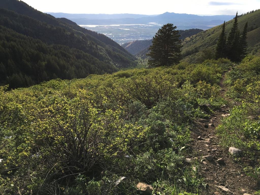 Фото Holiday Inn Express Hotel & Suites Logan, an Ihg Hotel