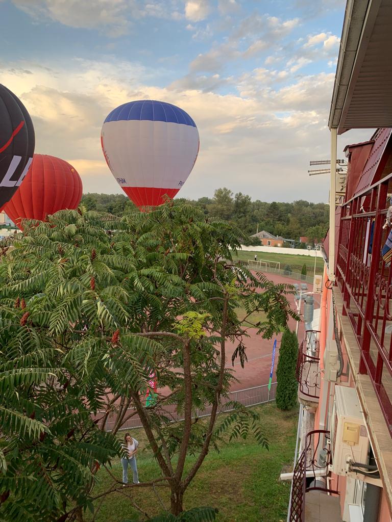 Фото Коралл фемели