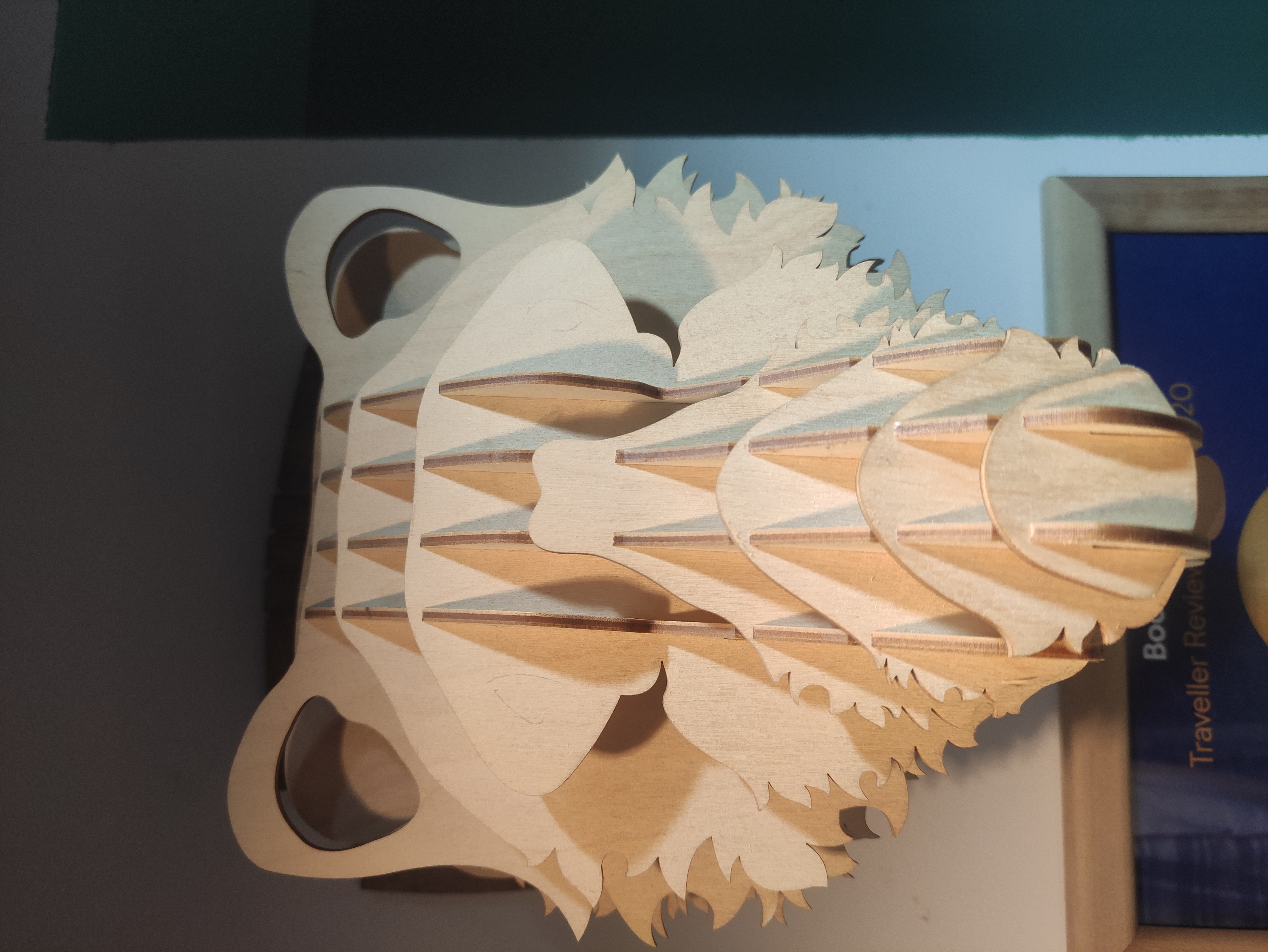 Фото Айлендер