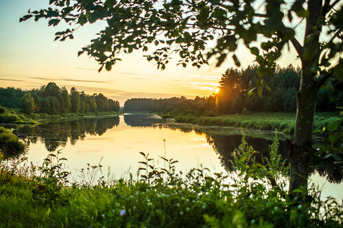 Гостиница Art Village Медведица в Верхней Троице