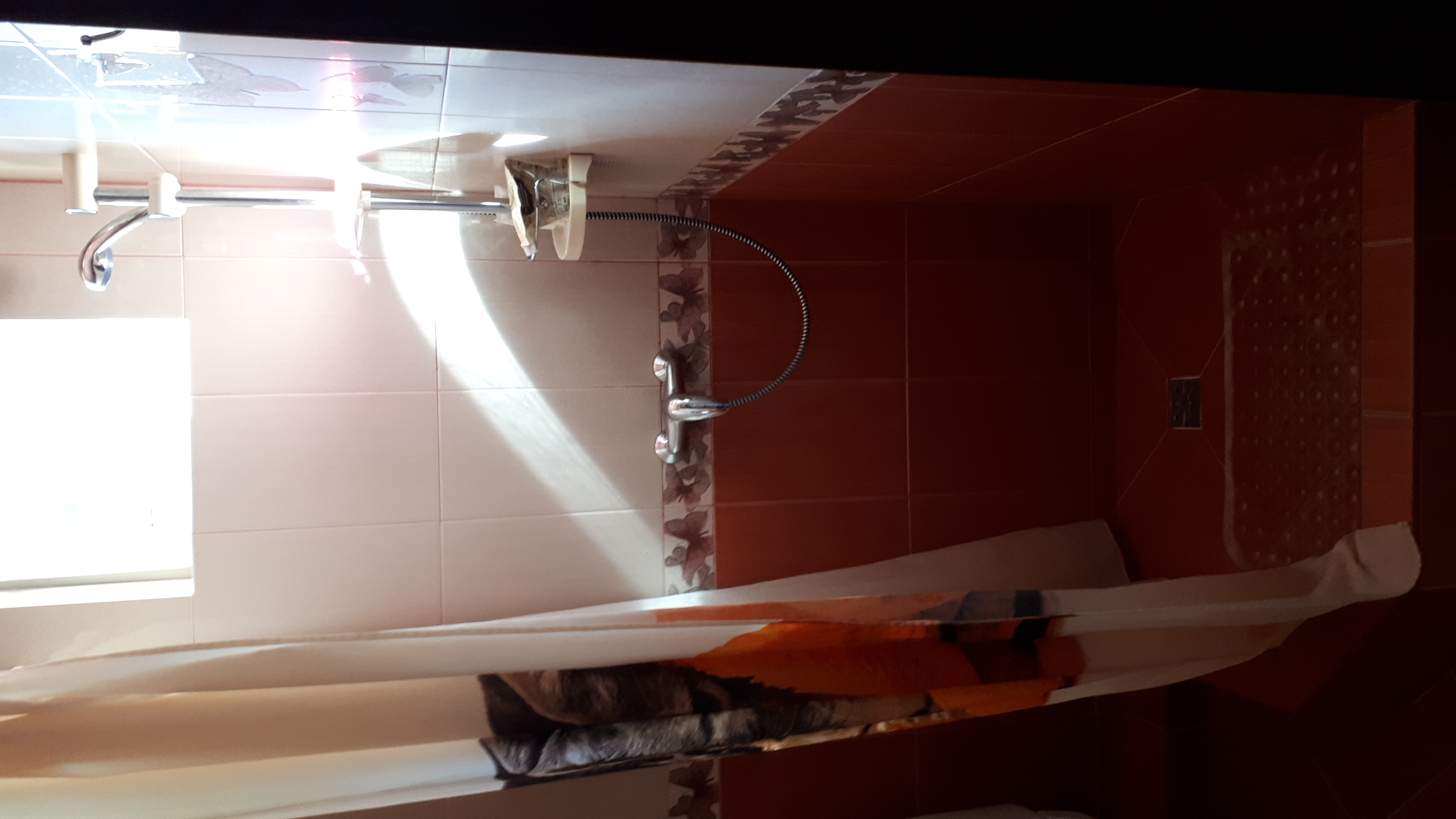 Фото Астория