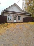 Автозапчасти (ulitsa Lenina, 21), auto parts and auto goods store