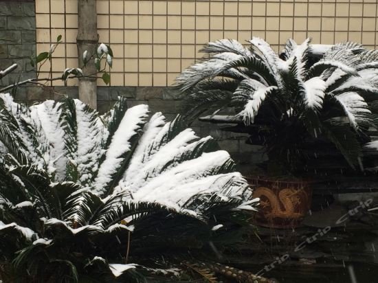 Фото Small Youth Inn