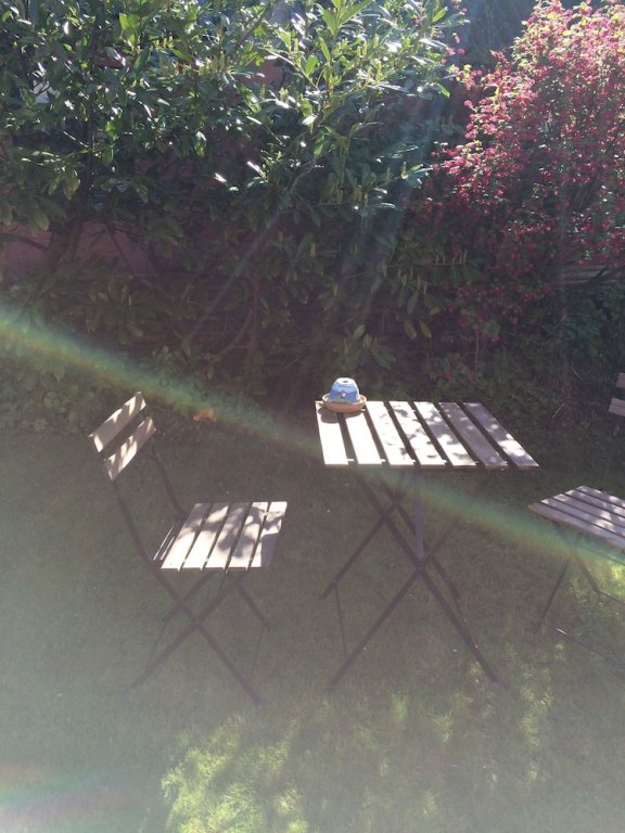 Фото Pegasus Bed And Breakfast