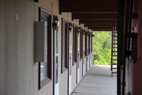 Фото Lakeshor Motor Inn