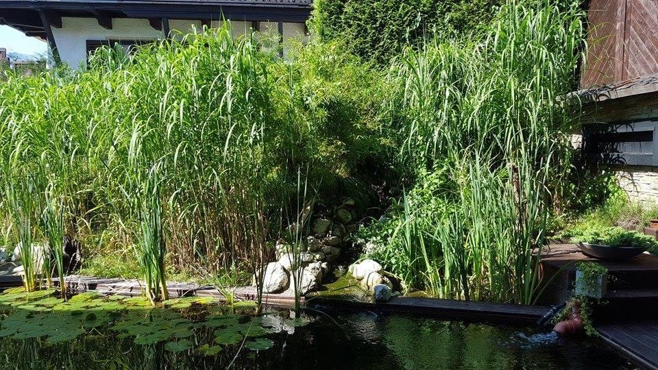 Фото 213712788815