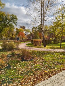 «Парк культуры и отдыха Молодежный» фото 1