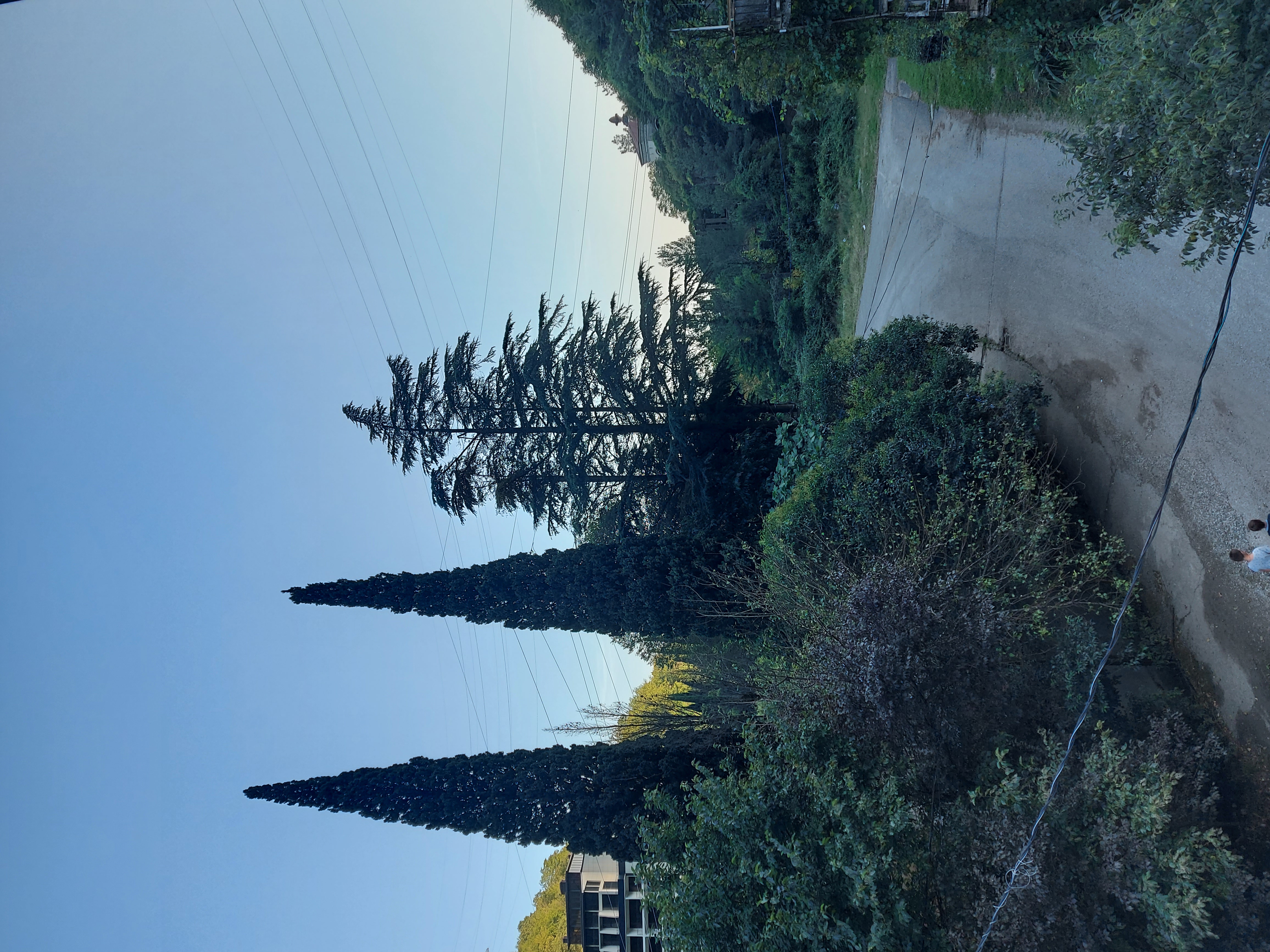 Фото Guest House Gorny Ruchei