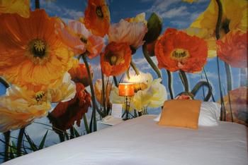 Фото Hotel du Theatre