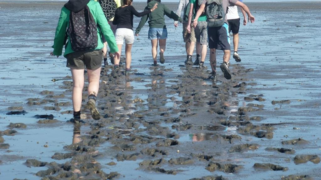 Фото De Wadloper