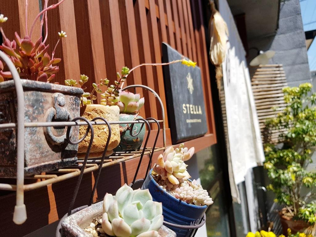 Фото Kanazawa Guesthouse Stella