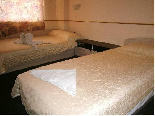 Фото Family Hotel White House