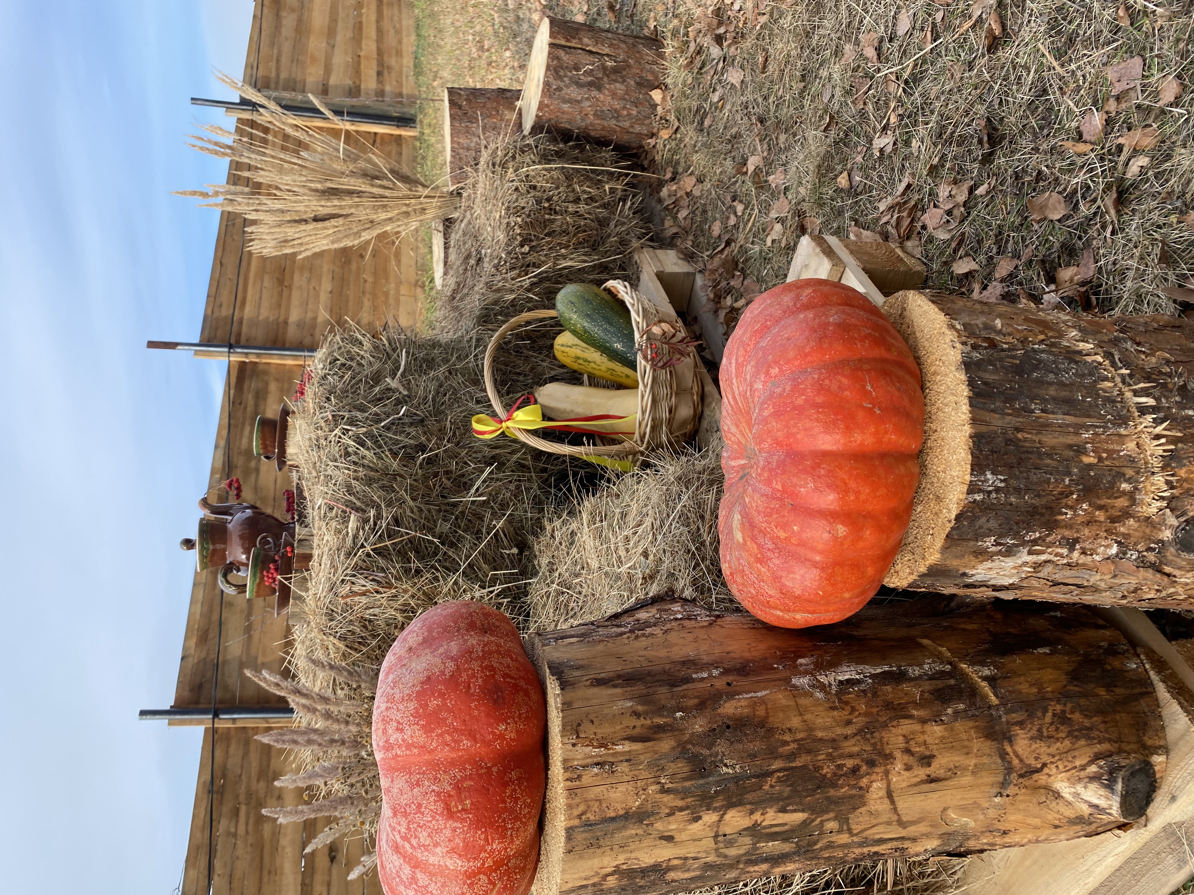 Фото Крутой