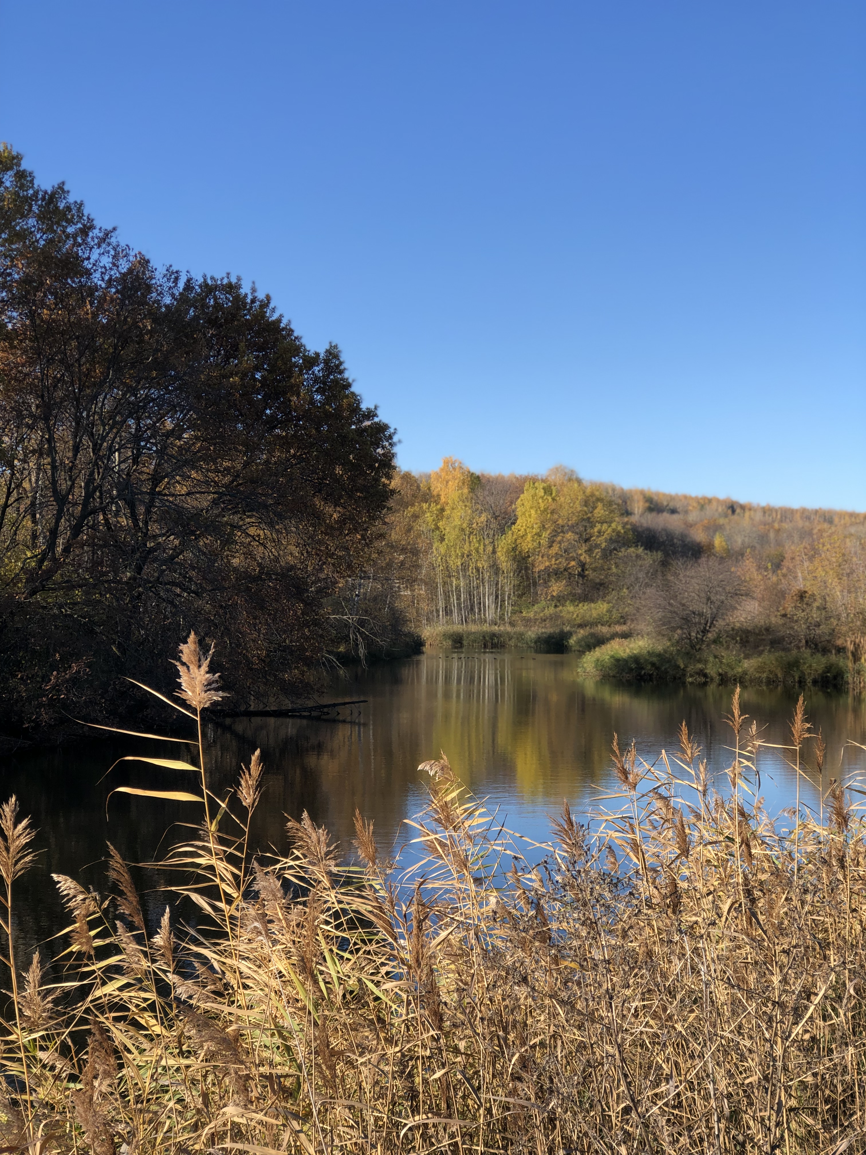 Фото Scandi House
