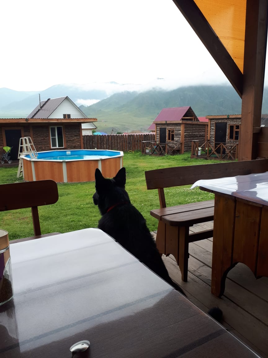 Фото Белая Чудь