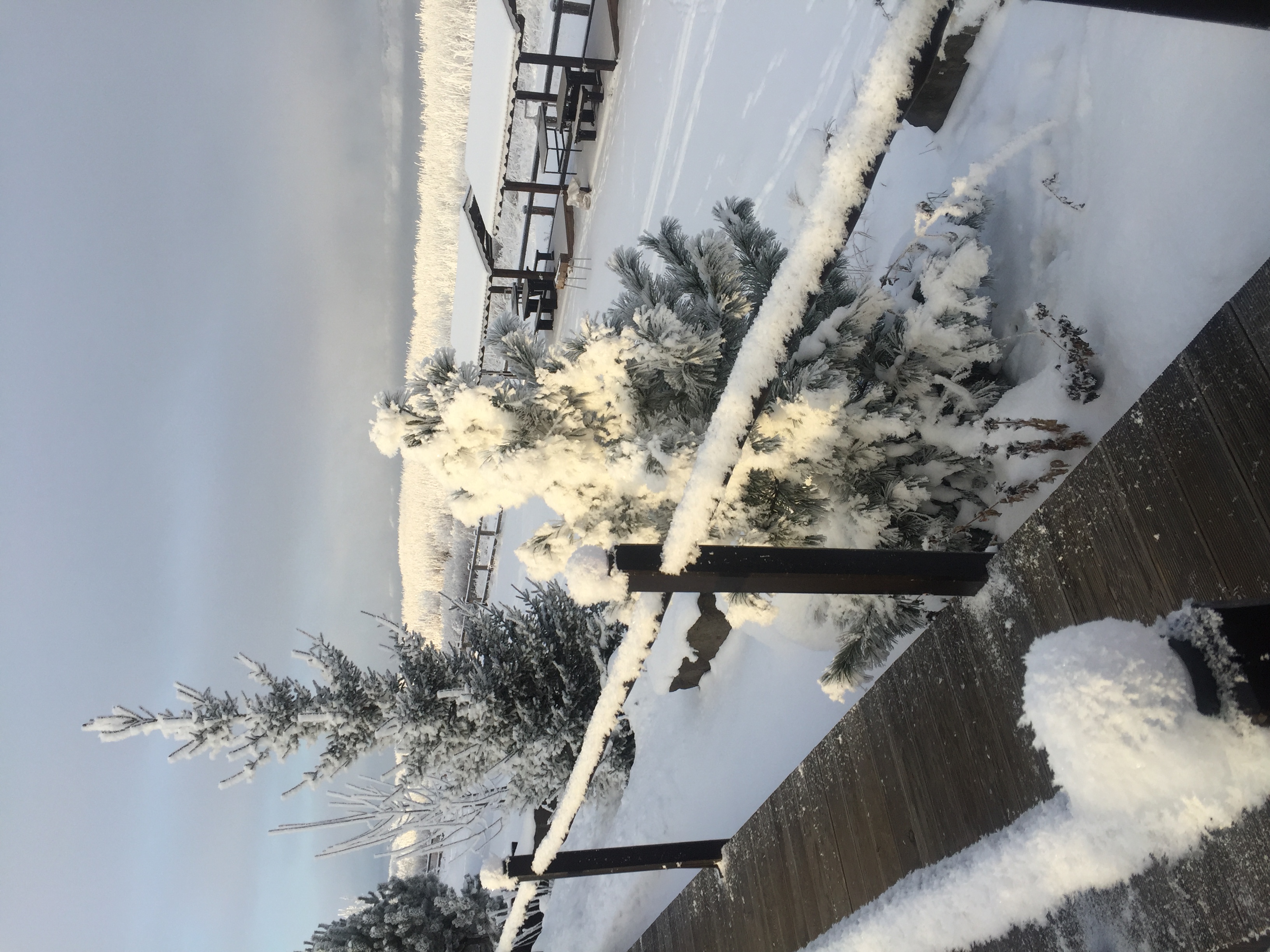 Фото Заимка Рыбная