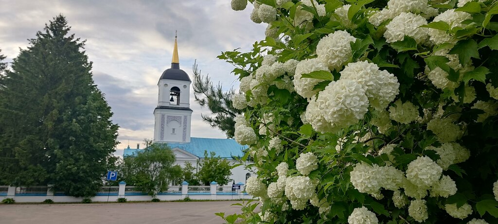 Православный храм Церковь Воскресения Словущего на Николо-Железновском погосте, Москва и Московская область, фото