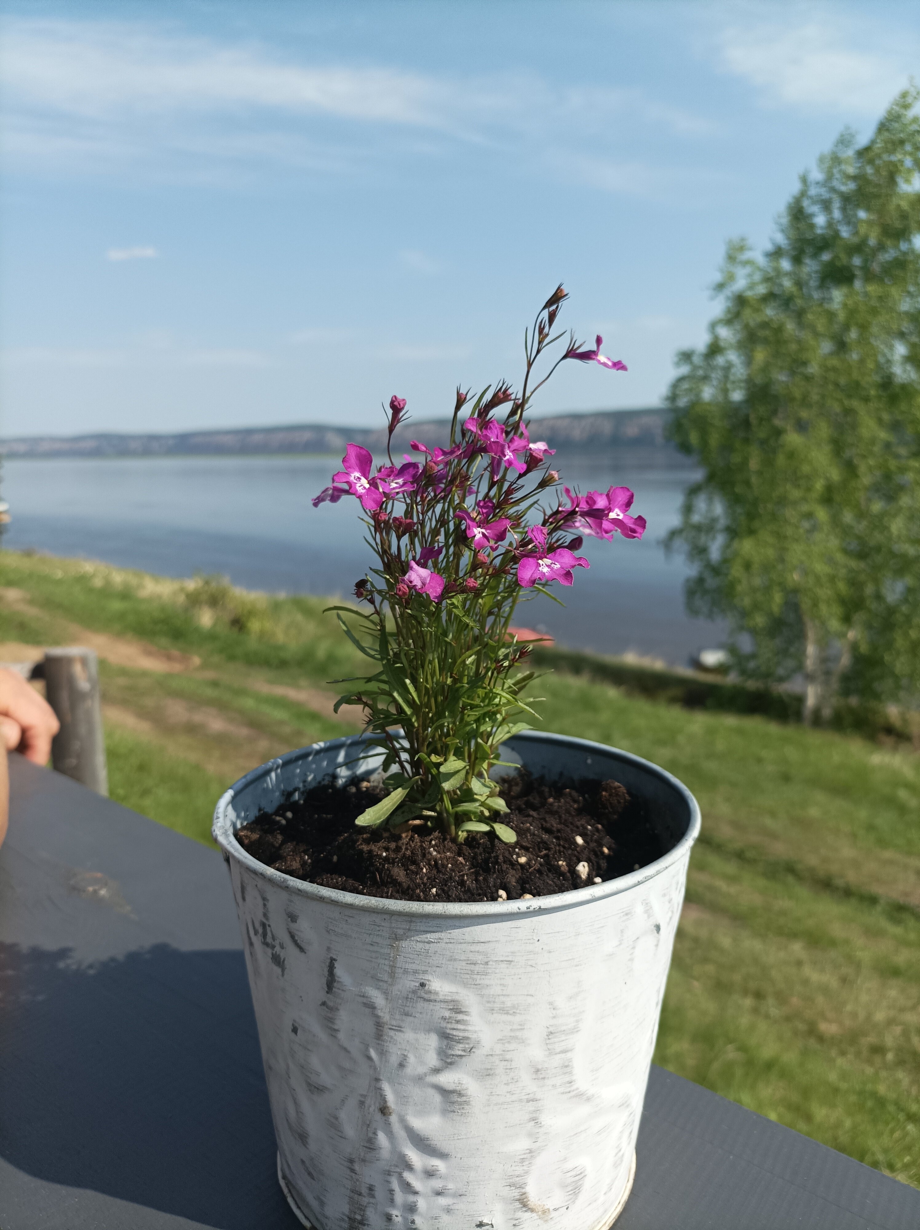 Фото Ленские столбы