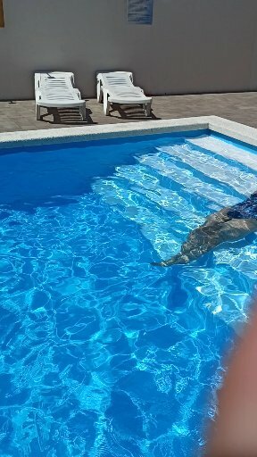 Фото Аникси