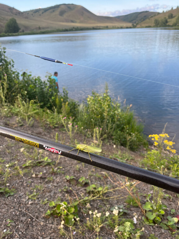 Фото Ямашла