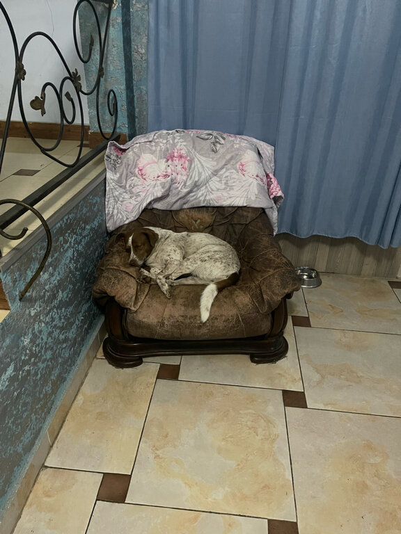 Фото Hotel Nine Brothers